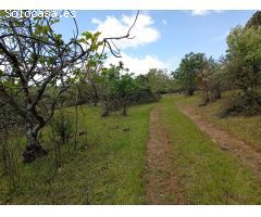 Finca rustica en Venta en Villanueva de la Vera, Cáceres