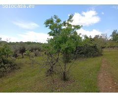 Finca rustica en Venta en Villanueva de la Vera, Cáceres