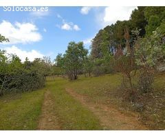Finca rustica en Venta en Villanueva de la Vera, Cáceres