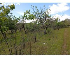 Finca rustica en Venta en Villanueva de la Vera, Cáceres