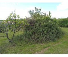 Finca rustica en Venta en Villanueva de la Vera, Cáceres