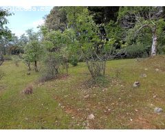 Finca rustica en Venta en Villanueva de la Vera, Cáceres