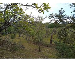 Finca rustica en Venta en Villanueva de la Vera, Cáceres