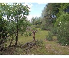 Finca rustica en Venta en Villanueva de la Vera, Cáceres