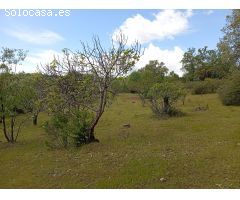 Finca rustica en Venta en Villanueva de la Vera, Cáceres