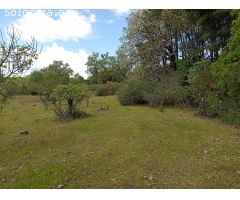 Finca rustica en Venta en Villanueva de la Vera, Cáceres