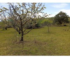 Finca rustica en Venta en Villanueva de la Vera, Cáceres