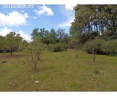 Finca rustica en Venta en Villanueva de la Vera, Cáceres