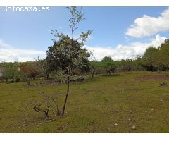 Finca rustica en Venta en Villanueva de la Vera, Cáceres
