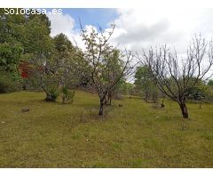 Finca rustica en Venta en Villanueva de la Vera, Cáceres