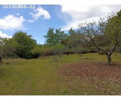 Finca rustica en Venta en Villanueva de la Vera, Cáceres