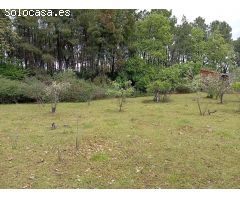 Finca rustica en Venta en Villanueva de la Vera, Cáceres