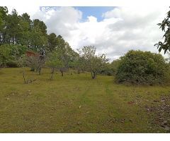 Finca rustica en Venta en Villanueva de la Vera, Cáceres