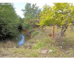 Finca rustica en Venta en Villanueva de la Vera, Cáceres