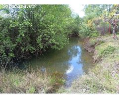 Finca rustica en Venta en Villanueva de la Vera, Cáceres