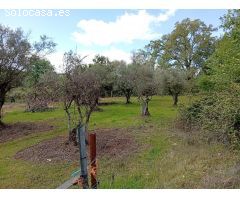 Finca rustica en Venta en Villanueva de la Vera, Cáceres