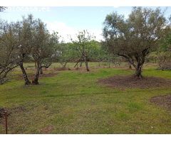 Finca rustica en Venta en Villanueva de la Vera, Cáceres