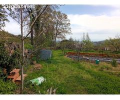 Finca rustica en Venta en Jarandilla de la Vera, Cáceres