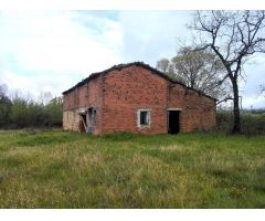 Finca rustica en Venta en Villanueva de la Vera, Cáceres