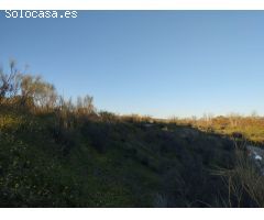 Finca rustica en Venta en Quijorna, Madrid