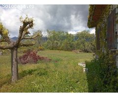 Finca rustica en Venta en Villanueva de la Vera, Cáceres