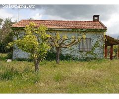 Finca rustica en Venta en Villanueva de la Vera, Cáceres