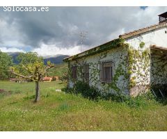 Finca rustica en Venta en Villanueva de la Vera, Cáceres