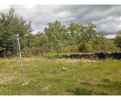 Finca rustica en Venta en Villanueva de la Vera, Cáceres