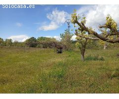 Finca rustica en Venta en Villanueva de la Vera, Cáceres