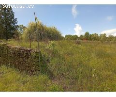 Finca rustica en Venta en Villanueva de la Vera, Cáceres