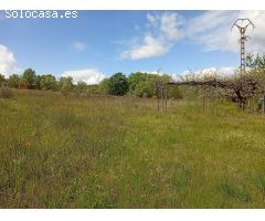 Finca rustica en Venta en Villanueva de la Vera, Cáceres
