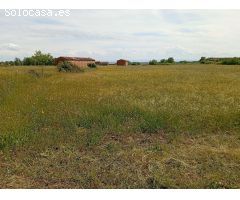 Finca rustica en Venta en Villanueva de la Vera, Cáceres