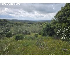 Parcela en Venta en Valdemorillo de la Sierra, Madrid