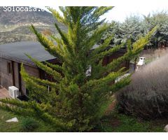 Chalet en Venta en Robledo de Chavela, Madrid