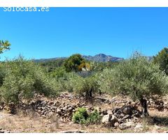 Parcela rustica de 8768m2