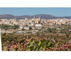 Venta de terreno urbano en Requena. Zona Urb. San Jose.