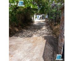 SE VENDE FINCA EN ZONA LA MONTAÑA
