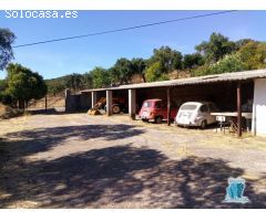 SE VENDE FINCA EN ZONA LA MONTAÑA