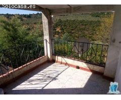 SE VENDE FINCA EN ZONA LA MONTAÑA