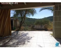 SE VENDE FINCA EN ZONA LA MONTAÑA
