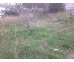 TERRENO EN BARONIA DE MAR