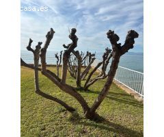 VENTA ESPECTACULAR PISO FRONTAL AL MAR EN LA ZONA DE SALOU