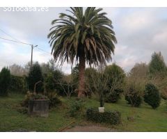 CASA AISLADA DE CAMPO CON SUS ARRIMOS, IDEALES PARA TRANSFORMAR EN BODEGA Y APARCAMIENTO