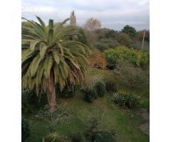 CASA AISLADA DE CAMPO CON SUS ARRIMOS, IDEALES PARA TRANSFORMAR EN BODEGA Y APARCAMIENTO