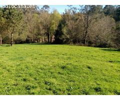 CASA PARA REFORMAR CON FINCA GRANDE EN UN ENTORNO DE NATURALEZA PRIVILEGIADO