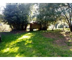 CASA PARA REFORMAR CON FINCA GRANDE EN UN ENTORNO DE NATURALEZA PRIVILEGIADO