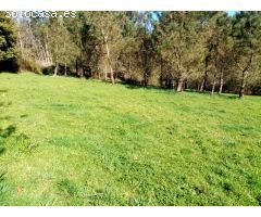 CASA PARA REFORMAR CON FINCA GRANDE EN UN ENTORNO DE NATURALEZA PRIVILEGIADO