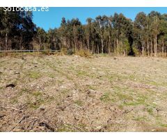 CASA PARA REFORMAR CON FINCA GRANDE EN UN ENTORNO DE NATURALEZA PRIVILEGIADO