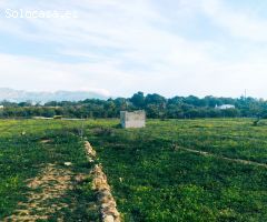 Finca rustica en Venta en Alfaz del Pí / LAlfàs Del Pi, Alicante