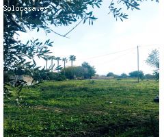 Finca rustica en Venta en Alfaz del Pí / LAlfàs Del Pi, Alicante